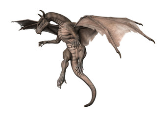 3D Rendering Fantasy Dragon on White