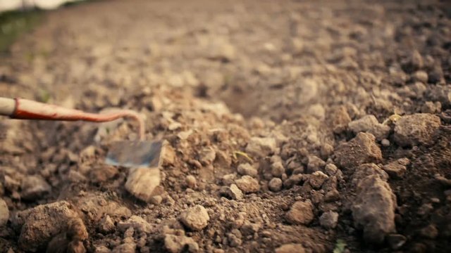 Farmer Using Hoe On Dirt At Farm