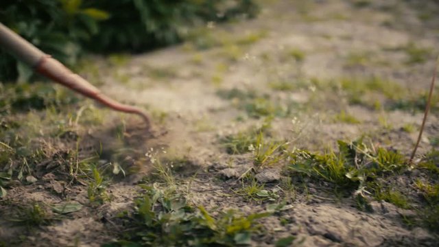 Farmer Using Hoe On Dirt At Farm