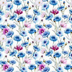 Cornflower watercolor pattern