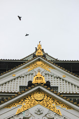 Fototapeta premium Osaka Castle ,Kansai region, Osaka, Japan