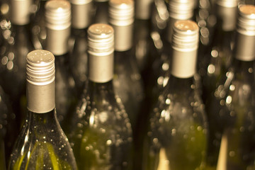 Bottles Of Wine./Bottles Of Wine.