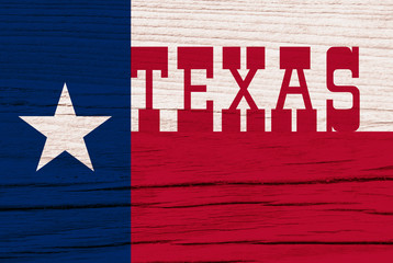 Fototapeta na wymiar Texas Grung Flag with Typography