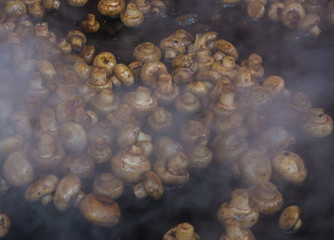 Frying mushrooms in a pan