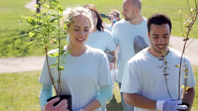 group of volunteers with tree seedlings in park