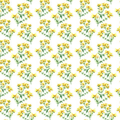 Watercolor hypericum herbs. seamless pattern