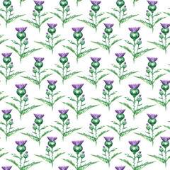 Watercolor milk thistle herb. seamless pattern