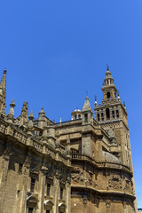 Fototapeta na wymiar Cathedral of Cadiz, Andalusia, Spain