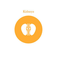 Obraz premium Vector kidney icon