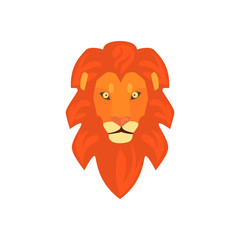 Lions Head Realistic Simplified Drawing