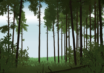 forest landscape illustration - 113956365