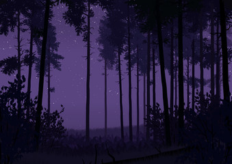forest landscape illustration