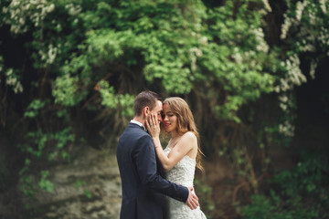 Cheerful married wedding couple posing nea rocks