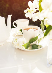 Obraz na płótnie Canvas Close up on jasmine tea with jasmine flower in a glass cup. Tea