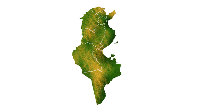 Tunisia tropical texture map