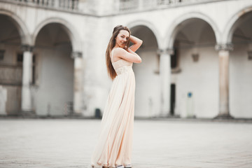 Beautiful girl, model with long hair posing in old castle near columns. Krakow Vavel