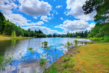 Obraz premium Summer landscape with river and blue sky. McNiel island, Washington