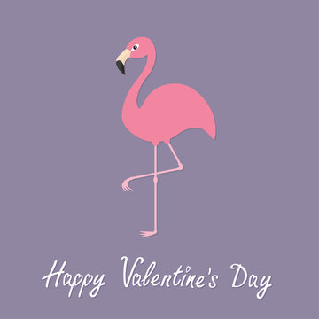 Pink flamingo standing on one leg. Exotic tropical bird. Zoo animal collection. Cute cartoon character. Happy Valentines day. Love greeting card. Decoration element. Flat design. Violet background.