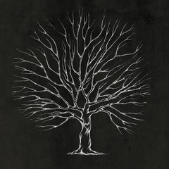 Baum f&uuml;r Hochzeitspaar mit gro&szlig;er Baumkrone 