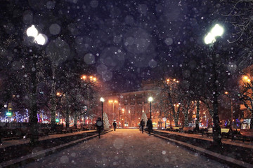 Night winter landscape in the alley of city park