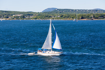 Blue and White Sailboat off Maine Coast