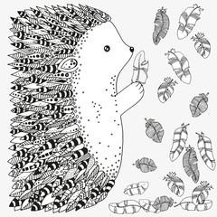 Artistically ornamental prickly hedgehog and feathers. Hand-drawn, ethnic, floral, retro, doodle, vector, zentangle, tribal design elements. Pattern for coloring book © ImHope