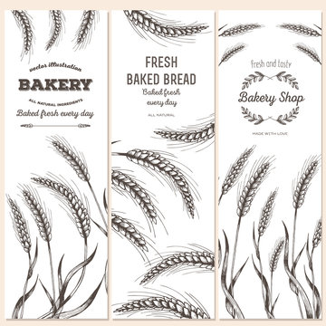 Hand drawn bread vertical banners. Banner set. Vector illustration in sketch style.