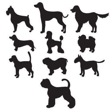 Set of black silhouettes cartoon dog breeds