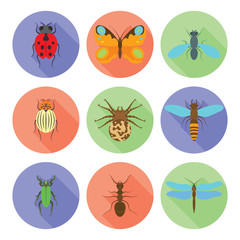 Insects icons vector flat style isolated on white background.