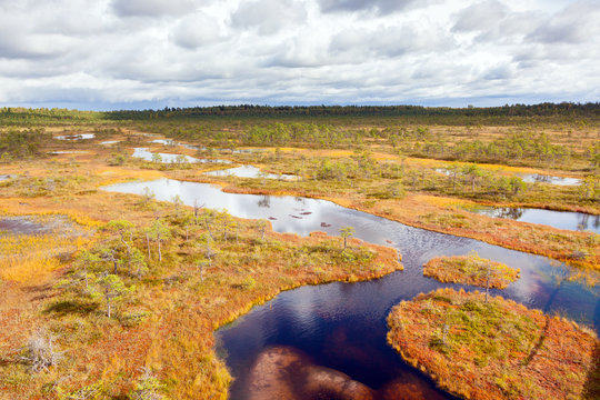 top view of autumn landscape. Huge bog in Estonia