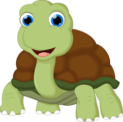 turtle cartoon for you design