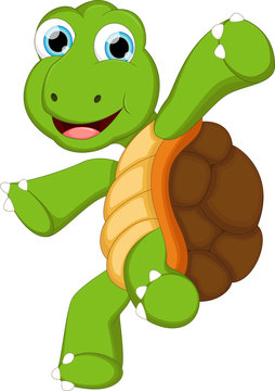 turtle cartoon for you design