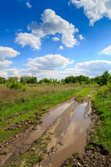 Fototapeta na wymiar rut road with puddles in steppe
