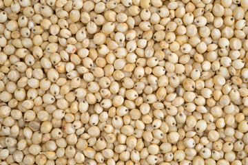 Close view of whole grain sorghum seeds.