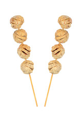 skewer of meatballs isolated on white