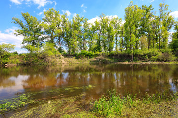river scene in summer