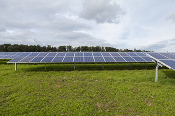 Field with blue siliciom solar cells alternative energy