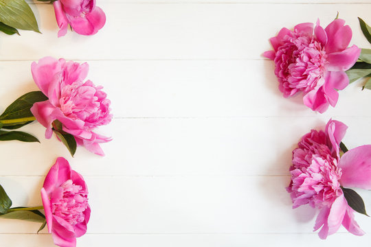 Bright pink peonies on white wooden background. Fresh summer floral background with copy space. Top view, flat lay