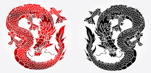 Cunning Asian black and red dragon on white
