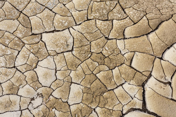 Texture of land dried up by drought, the ground cracks background