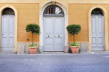 Fototapeta na wymiar Vintage wooden door and two flower pots near wall