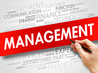 MANAGEMENT word cloud, business concept