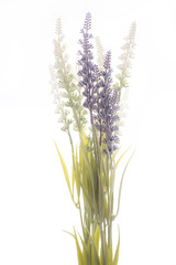 fake lavender on isolated
