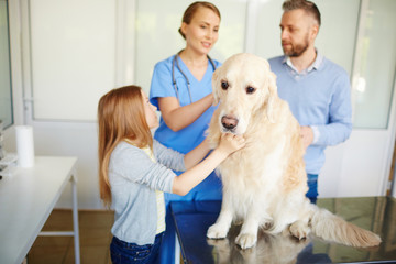 Dog in vet clinic