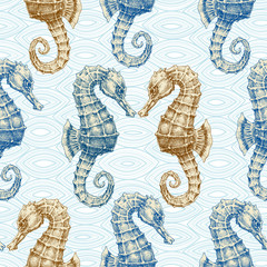 Sea horse vector seamless pattern. Marine life print