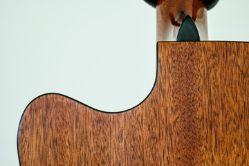 back guitar wood curve