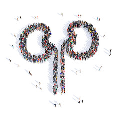 people kidneys medicine shape 3d