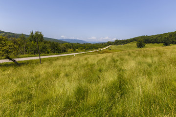 Empty asphalt road in countryside, bend of road, field in the ba