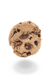 almond cookies isolated
