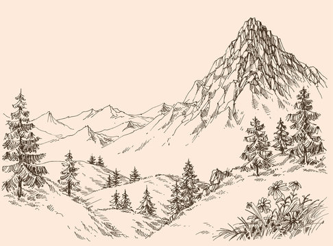 Nature in the mountains vector